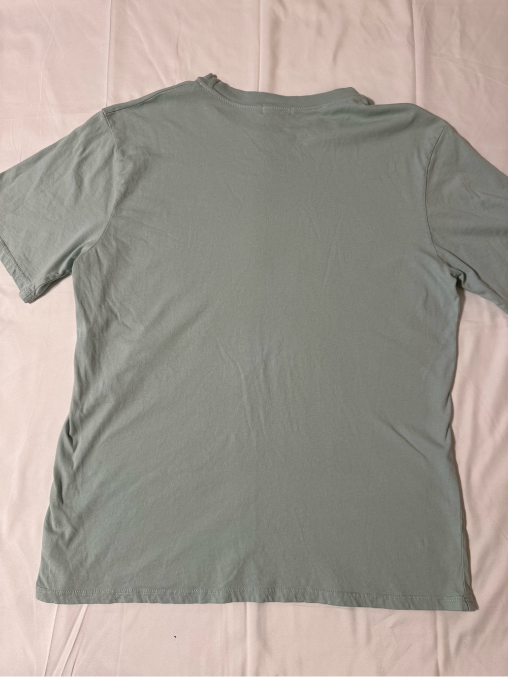 Originality “Silly Goose on the Loose" Graphic Tee - Mint - Picture 9 of 12